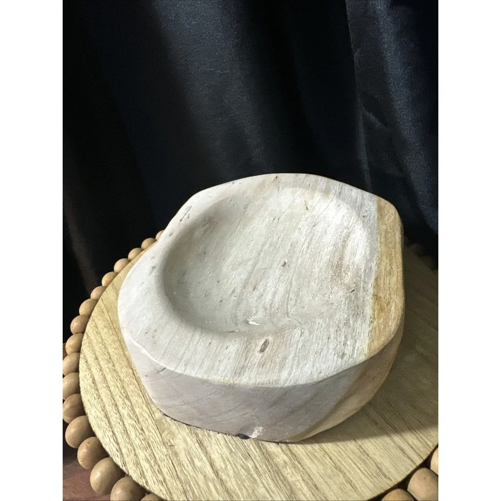 Petrified Wood Bowl Rustic Decor 8.5lbs  Amazing Statement Dish